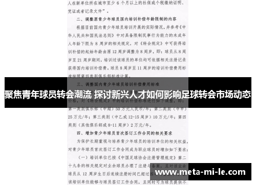 聚焦青年球员转会潮流 探讨新兴人才如何影响足球转会市场动态 聚焦青年球员转会潮流 探讨新兴人才如何影响足球转会市场动态
