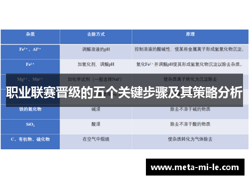 职业联赛晋级的五个关键步骤及其策略分析 职业联赛晋级的五个关键步骤及其策略分析
