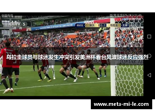 乌拉圭球员与球迷发生冲突引发美洲杯看台风波球迷反应强烈